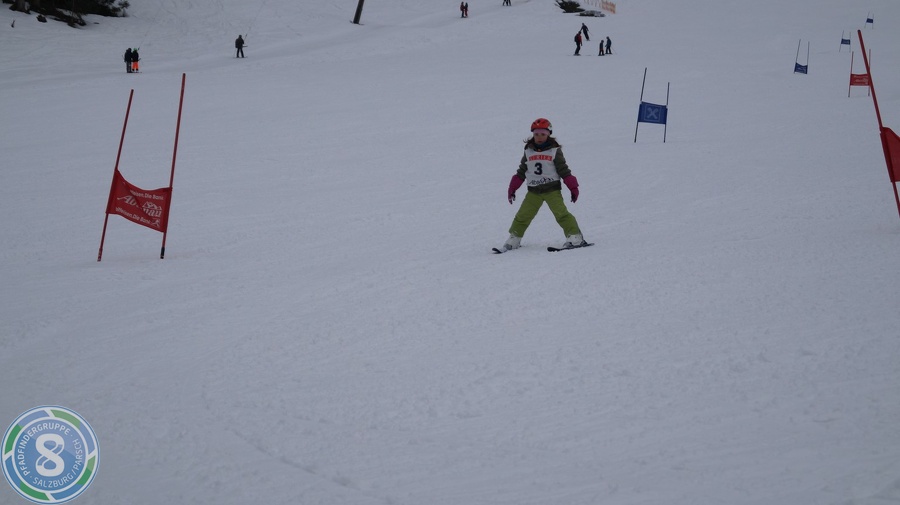  Landes- Ski- und Rodelmeisterschaften 2017